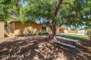 3023 E Covina St, Mesa, AZ 85213 photo 39