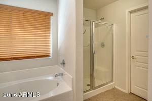 3784 E Sebastian Ln, Gilbert, AZ 85297 photo 23