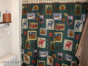 2108 E Cottontail Rd, Overgaard, AZ 85933 photo 29