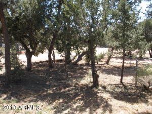 2108 E Cottontail Rd, Overgaard, AZ 85933 photo 17