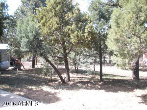 2108 E Cottontail Rd, Overgaard, AZ 85933 photo 21