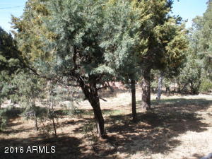 2108 E Cottontail Rd, Overgaard, AZ 85933 photo 24
