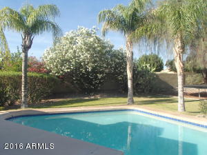 1513 E Piute Ave, Phoenix, AZ 85024 photo 29