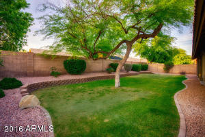 4146 E White Aster St, Phoenix, AZ 85044 photo 26