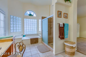 2929 E Redfield Rd, Phoenix, AZ 85032 photo 19