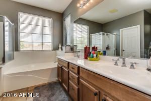 2838 S Colonial St, Gilbert, AZ 85295 photo 29