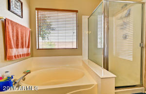  16250 W Young St, Surprise, AZ 85374 photo 21