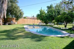 2234 E Fairmount Ave, Phoenix, AZ 85016 photo 34