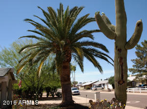 4039 E Winchcomb Dr, Phoenix, AZ 85032 photo 3