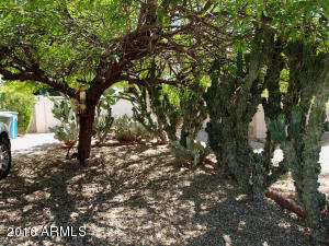 4039 E Winchcomb Dr, Phoenix, AZ 85032 photo 16
