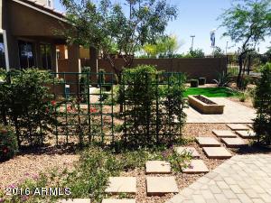 3539 E Peartree Ln, Gilbert, AZ 85298 photo 12