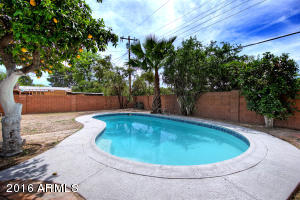 1027 E Vine Ave, Mesa, AZ 85204 photo 16