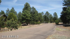 2950 Windmill Cir, Overgaard, AZ 85933 photo 35