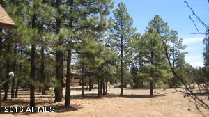 2950 Windmill Cir, Overgaard, AZ 85933 photo 29