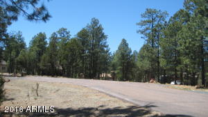 2950 Windmill Cir, Overgaard, AZ 85933 photo 34