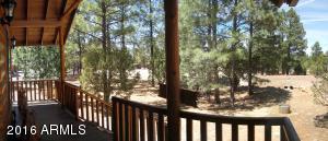2950 Windmill Cir, Overgaard, AZ 85933 photo 33