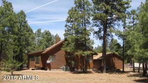 2950 Windmill Cir, Overgaard, AZ 85933 photo 28