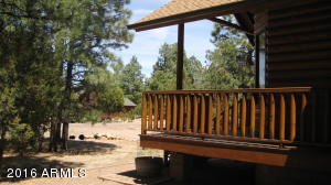 2950 Windmill Cir, Overgaard, AZ 85933 photo 30