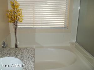 703 E Glenhaven Dr, Phoenix, AZ 85048 photo 17