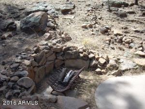 1967 Tall Pine Cir, Overgaard, AZ 85933 photo 7