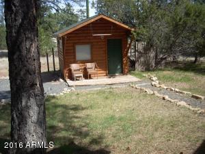 1967 Tall Pine Cir, Overgaard, AZ 85933 photo 13