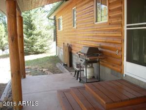 1967 Tall Pine Cir, Overgaard, AZ 85933 photo 11