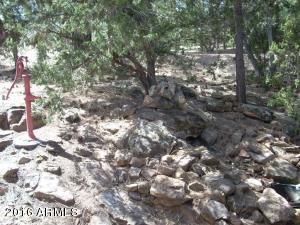 1967 Tall Pine Cir, Overgaard, AZ 85933 photo 8