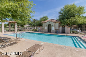 3312 E Orchid Ln, Gilbert, AZ 85296 photo 25