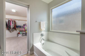 3312 E Orchid Ln, Gilbert, AZ 85296 photo 14