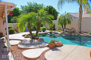 3349 E Sequoia Dr, Phoenix, AZ 85050 photo 3