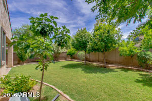 3561 E Constitution Dr, Gilbert, AZ 85296 photo 33