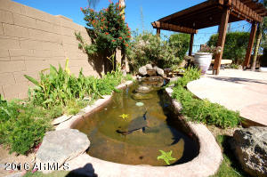 2340 E Nora St, Mesa, AZ 85213 photo 51