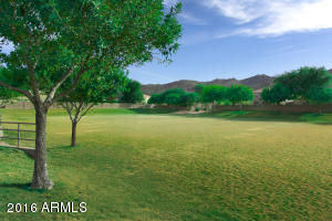 1017 E Milada Dr, Phoenix, AZ 85042 photo 28
