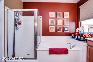8048 E Kramer Cir, Mesa, AZ 85207 photo 11