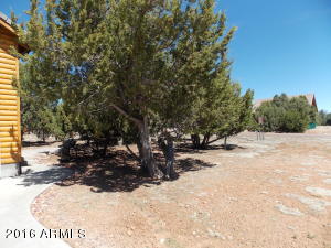 2841 Immelman Cir, Overgaard, AZ 85933 photo 3