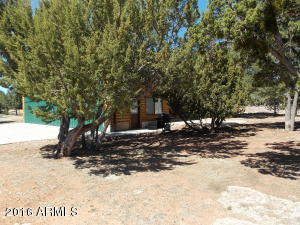 2841 Immelman Cir, Overgaard, AZ 85933 photo 2