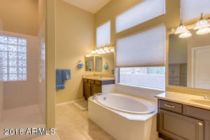 7919 E Saddleback Cir, Mesa, AZ 85207 photo 24