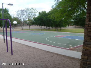 1339 E Harrison St, Gilbert, AZ 85295 photo 53