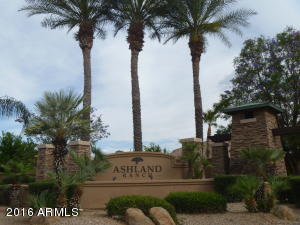 1339 E Harrison St, Gilbert, AZ 85295 photo 46