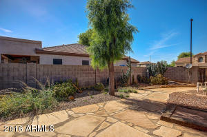 1339 E Harrison St, Gilbert, AZ 85295 photo 44