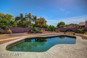 1339 E Harrison St, Gilbert, AZ 85295 photo 36