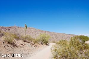509 E Mountain Sage Dr, Phoenix, AZ 85048 photo 47