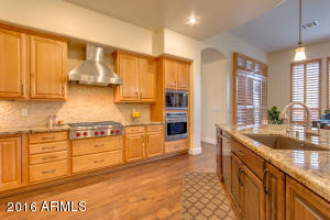 509 E Mountain Sage Dr, Phoenix, AZ 85048 photo 12