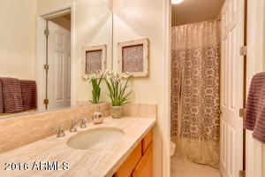 509 E Mountain Sage Dr, Phoenix, AZ 85048 photo 29