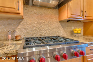 509 E Mountain Sage Dr, Phoenix, AZ 85048 photo 10