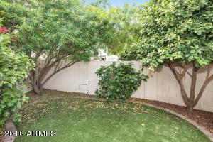 4810 Euclid Ave #3, Phoenix, AZ 85044 photo 16