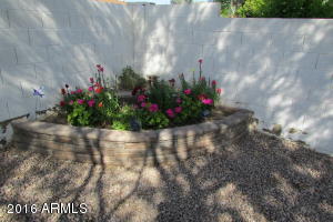 4660 W Elgin St, Chandler, AZ 85226 photo 27