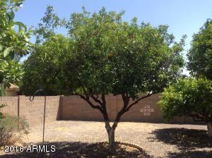 6116 El Paso St, Mesa, AZ 85205 photo 49