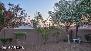3901 E White Aster St, Phoenix, AZ 85044 photo 40