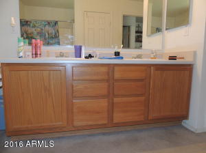 3029 S Mandy Cir, Mesa, AZ 85212 photo 21